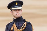 Major General's Review 2013: Aide-de-Camp, Captain J J Hathaway-White, Grenadier Guards..
Horse Guards Parade, Westminster,
London SW1,

United Kingdom,
on 01 June 2013 at 11:01, image #276