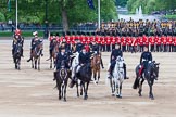 Major General's Review 2013: A member of Royal Procession during Inspection of the Line..
Horse Guards Parade, Westminster,
London SW1,

United Kingdom,
on 01 June 2013 at 11:06, image #305