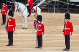 Major General's Review 2013: About to hand over the Colour - Colour Sergeant R J Heath, Welsh Guards, with the two (unfortunately unnamed) sentries..
Horse Guards Parade, Westminster,
London SW1,

United Kingdom,
on 01 June 2013 at 11:09, image #321