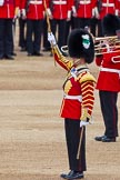 Major General's Review 2013: Drum Major Neill Lawman, Welsh Guards, leading the Band of the Welsh Guards..
Horse Guards Parade, Westminster,
London SW1,

United Kingdom,
on 01 June 2013 at 11:10, image #324