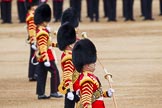 Major General's Review 2013: The Drum Majors-Stephen Staite, D P Thomas, M J Betts, Neill Lawman, and Tony Taylor..
Horse Guards Parade, Westminster,
London SW1,

United Kingdom,
on 01 June 2013 at 11:12, image #344