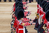 Major General's Review 2013: Musicians of  the Grenadier Guards..
Horse Guards Parade, Westminster,
London SW1,

United Kingdom,
on 01 June 2013 at 11:13, image #351