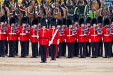 Major General's Review 2013: Captain F O Lloyd-George gives the orders for No. 1 Guard (Escort for the Colour),1st Battalion Welsh Guards to move into close order..
Horse Guards Parade, Westminster,
London SW1,

United Kingdom,
on 01 June 2013 at 11:15, image #366