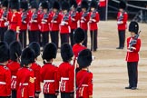 Major General's Review 2013: No. 1 Guard the Regimental Sergeant Major, WO1 Martin Topps, Welsh Guards marches forward followed by the Ensign..
Horse Guards Parade, Westminster,
London SW1,

United Kingdom,
on 01 June 2013 at 11:18, image #388