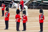 Major General's Review 2013: The Colour has been handed over from Colour Sergeant R J Heath, Welsh Guard to the Regimental Sergeant Major, WO1 Martin Topps, Welsh Guards. He now presents the Colour to the Ensign, Ensign, Second Lieutenant Joel Dinwiddle..
Horse Guards Parade, Westminster,
London SW1,

United Kingdom,
on 01 June 2013 at 11:18, image #395