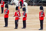 Major General's Review 2013: The Colour has been handed over from Colour Sergeant R J Heath, Welsh Guard to the Regimental Sergeant Major, WO1 Martin Topps, Welsh Guards. He now presents the Colour to the Ensign, Ensign, Second Lieutenant Joel Dinwiddle..
Horse Guards Parade, Westminster,
London SW1,

United Kingdom,
on 01 June 2013 at 11:19, image #397