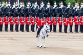Major General's Review 2013: Field Officer in Brigade Waiting, Lieutenant Colonel Dino Bossi, Welsh Guards gives command to form divisions..
Horse Guards Parade, Westminster,
London SW1,

United Kingdom,
on 01 June 2013 at 11:26, image #446