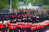 Major General's Review 2013: No. 1 Guard (Escort to the Colour),1st Battalion Welsh Guards, at the begin of the March Past..
Horse Guards Parade, Westminster,
London SW1,

United Kingdom,
on 01 June 2013 at 11:30, image #456