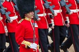 Major General's Review 2013: The March Past in Slow Time-No.5 Guard, F Comapny Scouts Guards..
Horse Guards Parade, Westminster,
London SW1,

United Kingdom,
on 01 June 2013 at 11:35, image #504