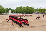 Major General's Review 2013: The March Past in Slow Time - the Ensign, Second Lieutenant Joel Dinwiddle, in front of No. 1 Guard, the Escort to the Colour..
Horse Guards Parade, Westminster,
London SW1,

United Kingdom,
on 01 June 2013 at 11:34, image #490