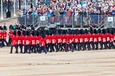 Major General's Review 2013: Welsh Guards during the March Past..
Horse Guards Parade, Westminster,
London SW1,

United Kingdom,
on 01 June 2013 at 11:38, image #518