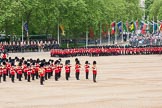 Major General's Review 2013: The March Past in Quick Time. No. 1 Guard, the Escort to the Colour,1st Battalion Welsh Guards,  marching along the Mounted Bands of the Household Cavalry..
Horse Guards Parade, Westminster,
London SW1,

United Kingdom,
on 01 June 2013 at 11:45, image #556
