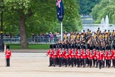 Major General's Review 2013: At the end of the March Past in Quick Time, all five guards on the northern side of Horse Guards Parade peform a ninety-degree-turn at the same time..
Horse Guards Parade, Westminster,
London SW1,

United Kingdom,
on 01 June 2013 at 11:47, image #560