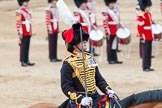 Major General's Review 2013: The Ride Past - the King's Troop Royal Horse Artillery. Here the Commanding Officer, Major Mark Edward, Royal Horse Artillery..
Horse Guards Parade, Westminster,
London SW1,

United Kingdom,
on 01 June 2013 at 11:51, image #590