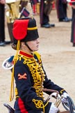 Major General's Review 2013: The Ride Past - the King's Troop Royal Horse Artillery..
Horse Guards Parade, Westminster,
London SW1,

United Kingdom,
on 01 June 2013 at 11:51, image #592