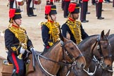 Major General's Review 2013: The Ride Past - the King's Troop Royal Horse Artillery..
Horse Guards Parade, Westminster,
London SW1,

United Kingdom,
on 01 June 2013 at 11:51, image #596