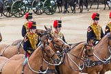 Major General's Review 2013: The Ride Past - the King's Troop Royal Horse Artillery..
Horse Guards Parade, Westminster,
London SW1,

United Kingdom,
on 01 June 2013 at 11:51, image #597