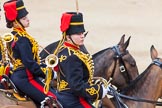 Major General's Review 2013: The Ride Past - the King's Troop Royal Horse Artillery..
Horse Guards Parade, Westminster,
London SW1,

United Kingdom,
on 01 June 2013 at 11:52, image #600