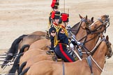 Major General's Review 2013: The Ride Past - the King's Troop Royal Horse Artillery..
Horse Guards Parade, Westminster,
London SW1,

United Kingdom,
on 01 June 2013 at 11:52, image #601