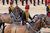 Major General's Review 2013: The Ride Past - the King's Troop Royal Horse Artillery..
Horse Guards Parade, Westminster,
London SW1,

United Kingdom,
on 01 June 2013 at 11:52, image #605