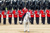 Major General's Review 2013: The Field Officer in Brigade Waiting, Lieutenant Colonel Dino Bossi, Welsh Guards, giving orders after the Ride Past..
Horse Guards Parade, Westminster,
London SW1,

United Kingdom,
on 01 June 2013 at 12:00, image #672