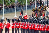 Major General's Review 2013: The Mounted Bands of the Household Cavalry are ready to leave, they follow the Royal Horse Artillery to march off via The Mall..
Horse Guards Parade, Westminster,
London SW1,

United Kingdom,
on 01 June 2013 at 12:01, image #676