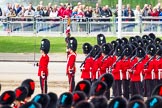 Major General's Review 2013: The Escort to the Colour No.1 Guard 1 st Battalion Welsh Guards..
Horse Guards Parade, Westminster,
London SW1,

United Kingdom,
on 01 June 2013 at 12:03, image #685