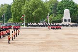 Major General's Review 2013: The six guards divisions have changed direction. Behind them, the Household Cavalry is leaving their position to march off..
Horse Guards Parade, Westminster,
London SW1,

United Kingdom,
on 01 June 2013 at 12:02, image #681
