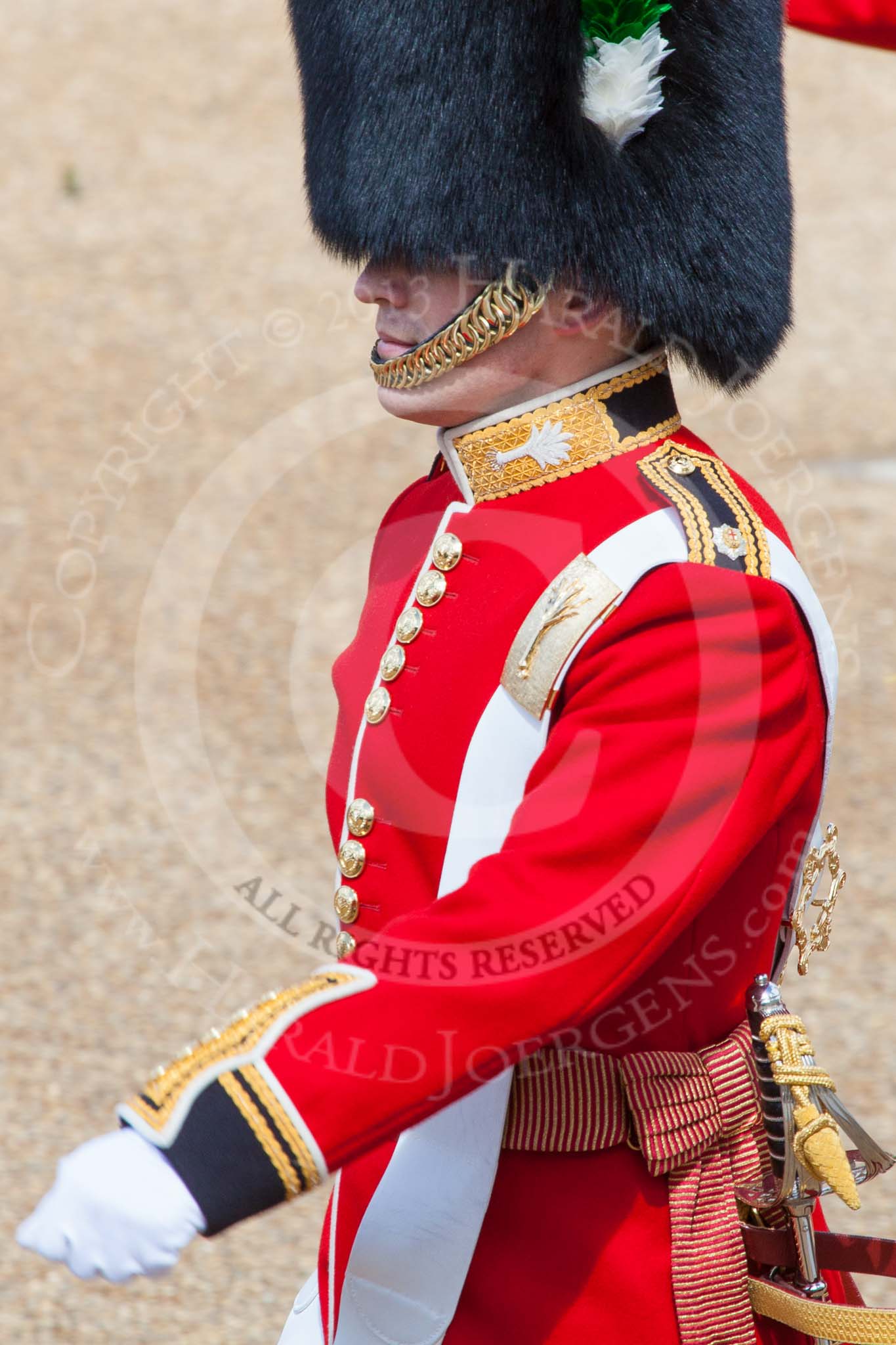 Trooping the Colour 2013: A close look at the Ensign, Second Lieutenant Joel Dinwiddle. Image #138, 15 June 2013 10:37 Horse Guards Parade, London, UK