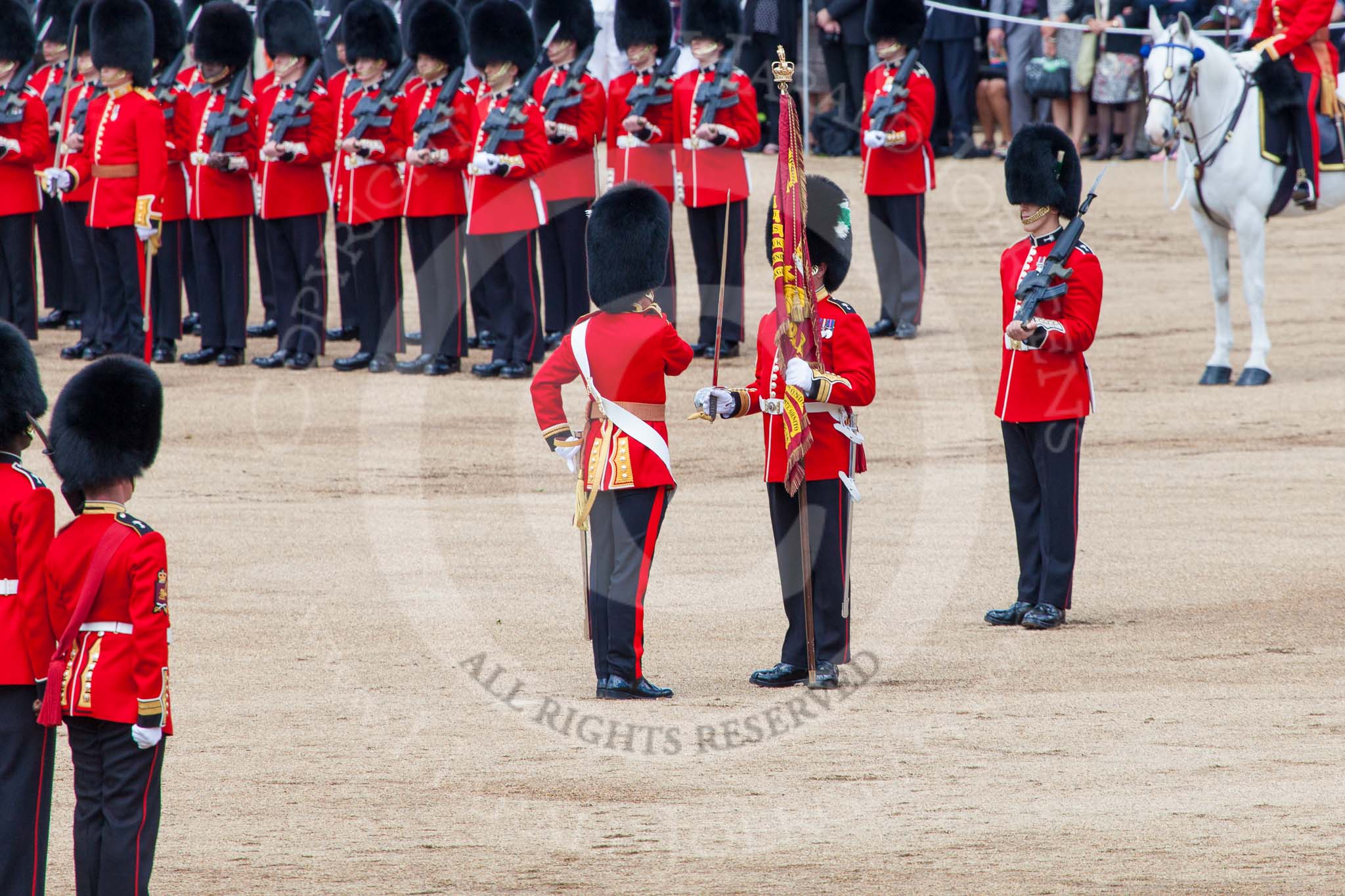 Trooping the Colour 2013: The Colour has been handed over from Colour Sergeant R J Heath, Welsh Guard to the Regimental Sergeant Major, WO1 Martin Topps, Welsh Guards. He now presents the Colour to the Ensign, Ensign, Second Lieutenant Joel Dinwiddle, who salutes the Colour with his sword. Image #452, 15 June 2013 11:20 Horse Guards Parade, London, UK