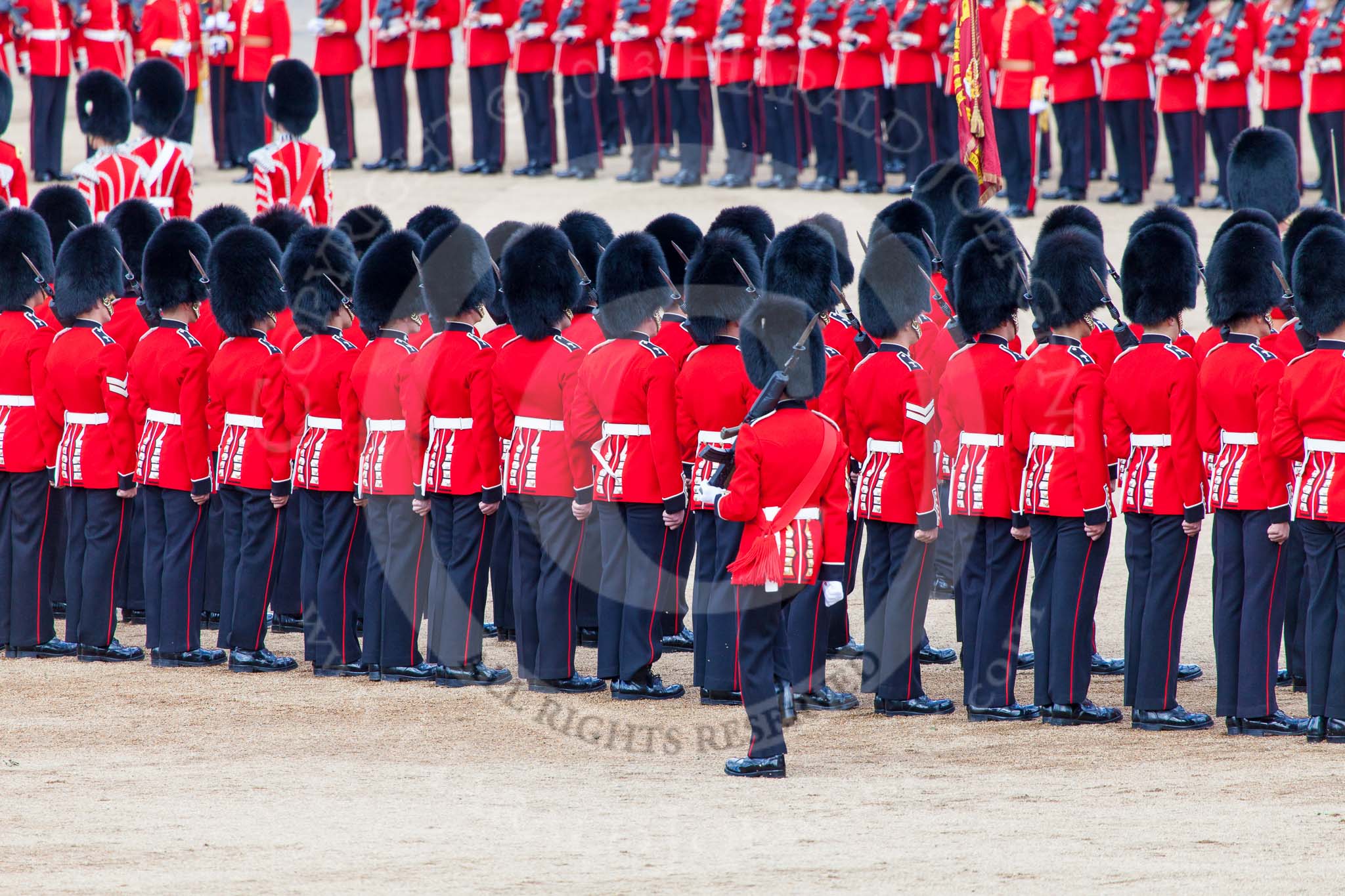 Trooping the Colour 2013: The Colour Party joins the Escort to the Colour, here Colour Sergeant, R J Heath, Welsh Guards, at the rear of the two lines of guardsmen. Image #474, 15 June 2013 11:22 Horse Guards Parade, London, UK