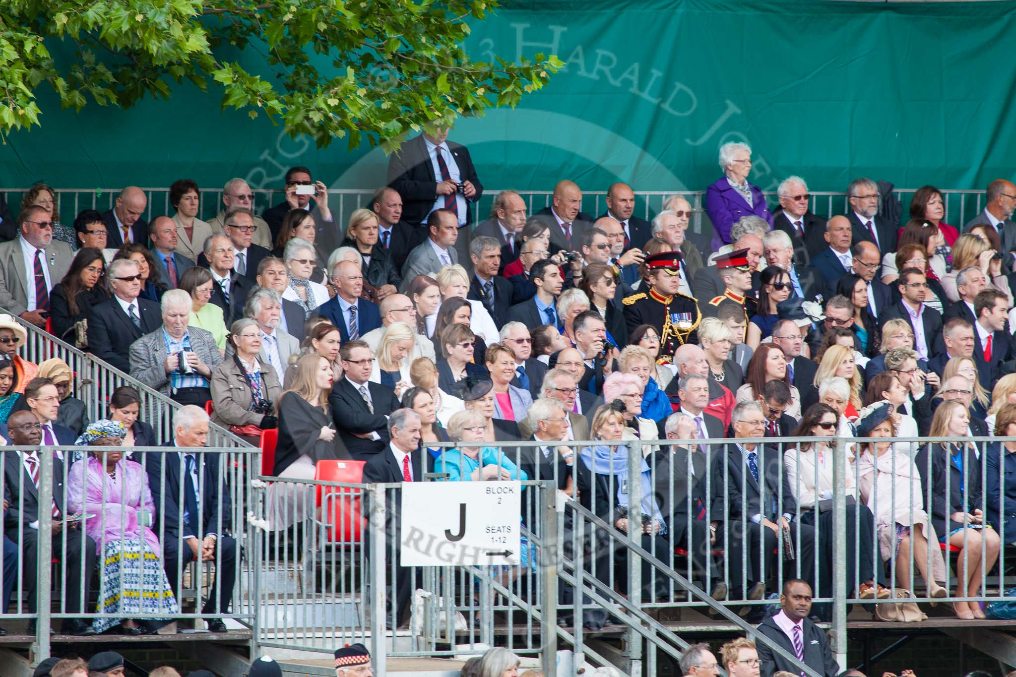 Trooping the Colour 2013 (spectators). Image #1048, 15 June 2013 11:23