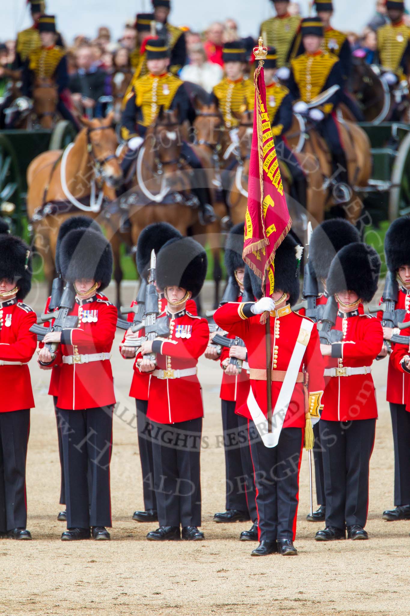 Trooping the Colour 2013: The Ensign, Second Lieutenant Joel Dinwiddle, and the Escort to the Colour,are back at their initial position, when they were the Escort for the Colour. The guardsmen are changing arms. Image #507, 15 June 2013 11:28 Horse Guards Parade, London, UK