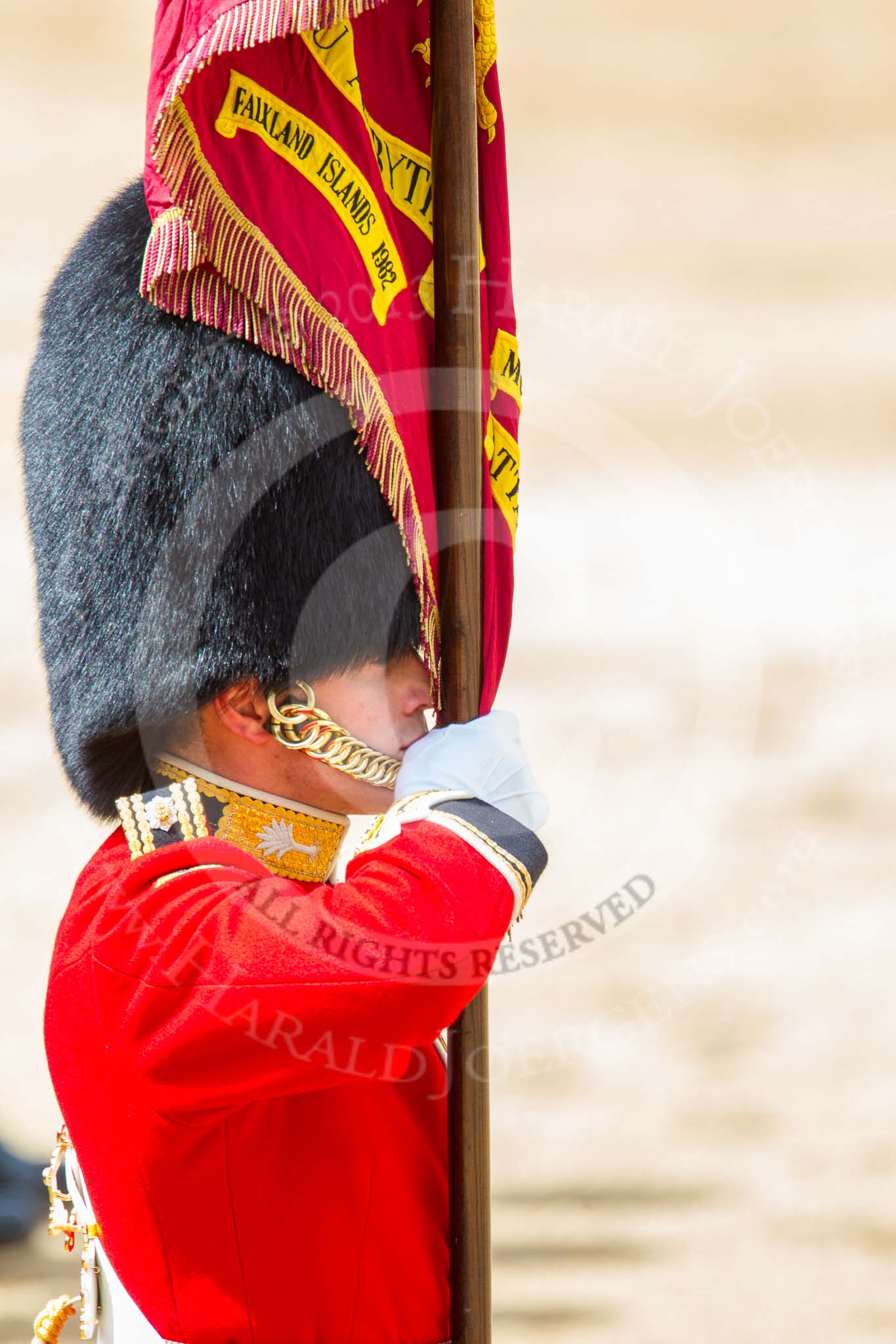 Trooping the Colour 2013: Close-up of the Ensign, Second Lieutenant Joel Dinwiddle, carrying the Colour during the March Past. Image #540, 15 June 2013 11:36 Horse Guards Parade, London, UK
