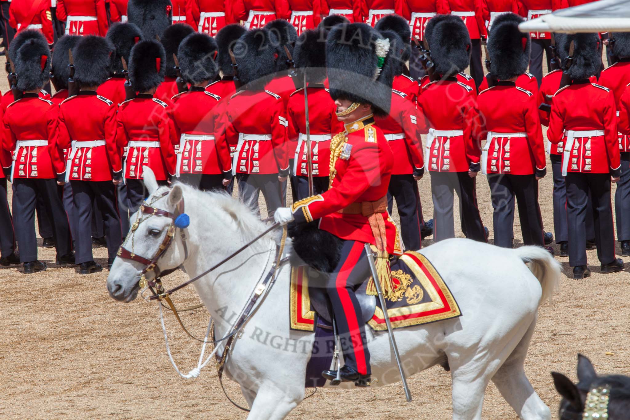 Trooping the Colour 2013: The Field Officer in Brigade Waiting, Lieutenant Colonel Dino Bossi, Welsh Guards, has left the front of the March Past to salute to Her Majesty. Image #560, 15 June 2013 11:39 Horse Guards Parade, London, UK