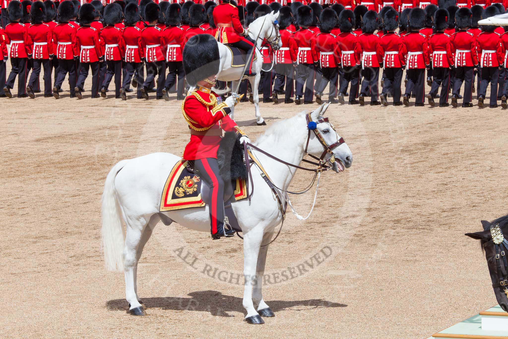 Trooping the Colour 2013: The Field Officer in Brigade Waiting, Lieutenant Colonel Dino Bossi, Welsh Guards, saluting Her Majesty. Image #563, 15 June 2013 11:39 Horse Guards Parade, London, UK