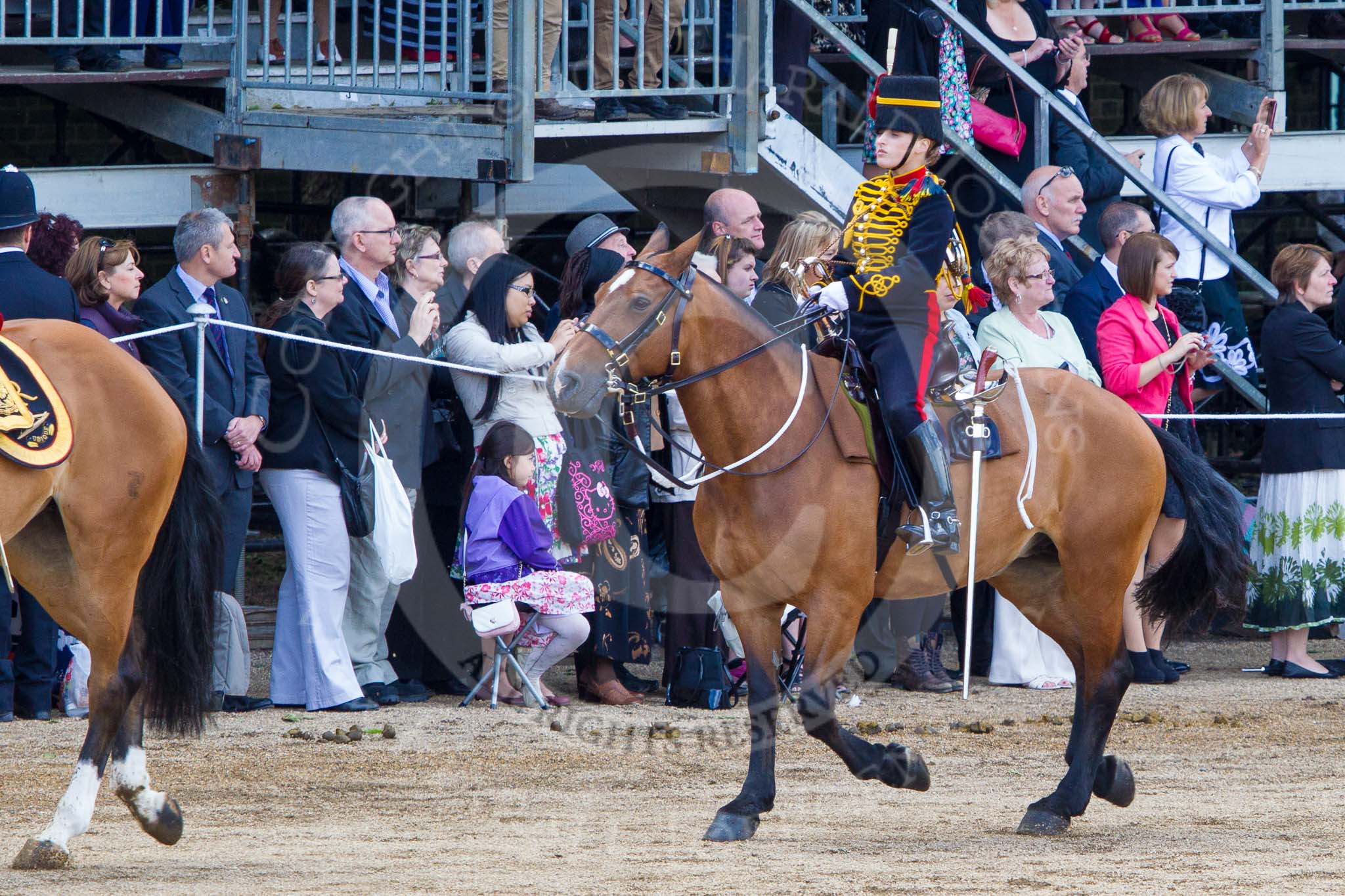 Trooping the Colour 2013: The Ride Past - the King's Troop Royal Horse Artillery..
Horse Guards Parade, Westminster,
London SW1,

United Kingdom,
on 15 June 2013 at 11:58, image #713