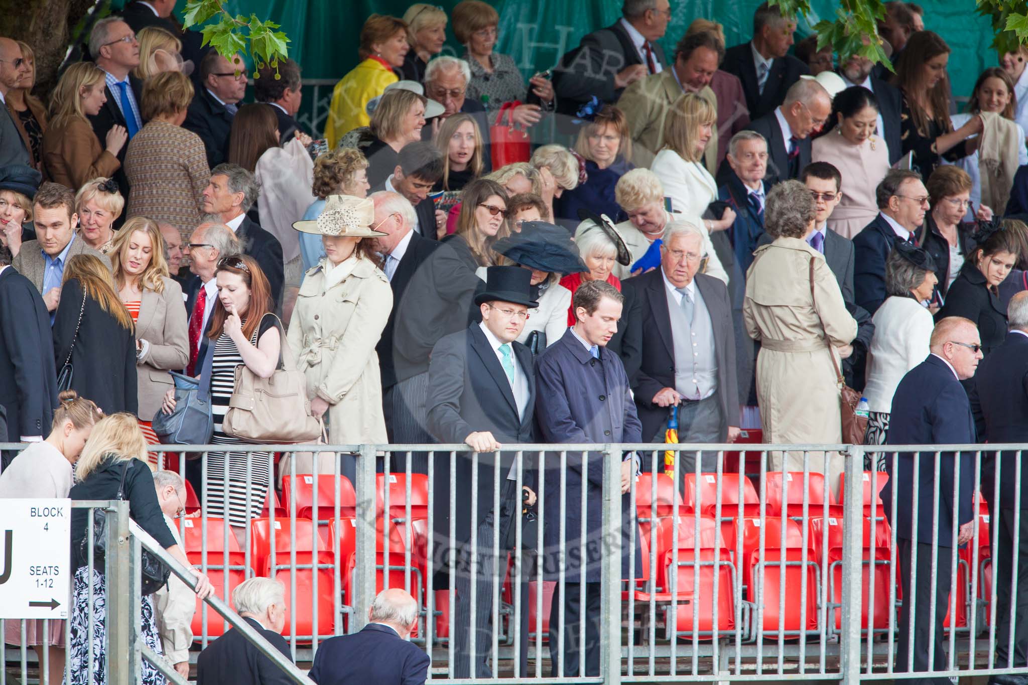 Trooping the Colour 2013 (spectators). Image #1072, 15 June 2013 12:14