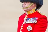 Trooping the Colour 2013: Close-up of Colonel Coldstream Guards General Sir James Bucknall during the Inspection of the Line..
Horse Guards Parade, Westminster,
London SW1,

United Kingdom,
on 15 June 2013 at 11:02, image #319
