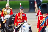 Trooping the Colour 2013: The Equerry in Waiting to Her Majesty, Lieutenant Colonel Alexander Matheson of Matheson, younger, in focus between Field Marshal Lord Guthrie and The Duke of Cambridge..
Horse Guards Parade, Westminster,
London SW1,

United Kingdom,
on 15 June 2013 at 11:07, image #369
