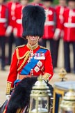 Trooping the Colour 2013: HRH The Prince of Wales, Colonel Welsh Guards, on horseback after the Inspection of the Line..
Horse Guards Parade, Westminster,
London SW1,

United Kingdom,
on 15 June 2013 at 11:07, image #371