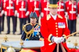 Trooping the Colour 2013: HRH The Princess Royal, Colonel The Blues and Royals (Royal Horse Guards and 1st Dragoons), following the Glass Coach after the Inspection of the Line.  She apprears surrounded by scarlet uniforms..
Horse Guards Parade, Westminster,
London SW1,

United Kingdom,
on 15 June 2013 at 11:07, image #372