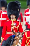 Trooping the Colour 2013: Aide-de-Camp, Captain John James Hathaway-White, Grenadier Guards, on horseback after the Inspection of the Line..
Horse Guards Parade, Westminster,
London SW1,

United Kingdom,
on 15 June 2013 at 11:07, image #380