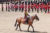 Trooping the Colour 2013: The Ride Past - the King's Troop Royal Horse Artillery..
Horse Guards Parade, Westminster,
London SW1,

United Kingdom,
on 15 June 2013 at 11:54, image #663