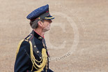 Trooping the Colour 2013 (spectators): Spectators arriving at Horse Guards Arch. Image #970, 15 June 2013 09:43