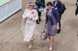 Trooping the Colour 2013 (spectators): Spectators arriving at Horse Guards Arch. Image #973, 15 June 2013 09:46