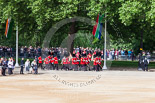 Trooping the Colour 2013: The 'Keepers of the Ground', guardsmen bearing marker flags for their respective regiments, marching on Horse Guards Road along St James's Park. Image #22, 15 June 2013 09:52 Horse Guards Parade, London, UK