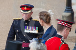 Trooping the Colour 2013 (spectators). Image #987, 15 June 2013 09:56