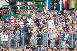 Trooping the Colour 2013 (spectators). Image #1024, 15 June 2013 10:28