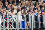 Trooping the Colour 2013 (spectators). Image #1027, 15 June 2013 10:29